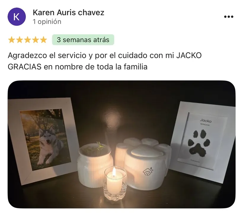 Reseña de Karen Auris Chavez en Google sobre la cremación de su mascota en Regazo