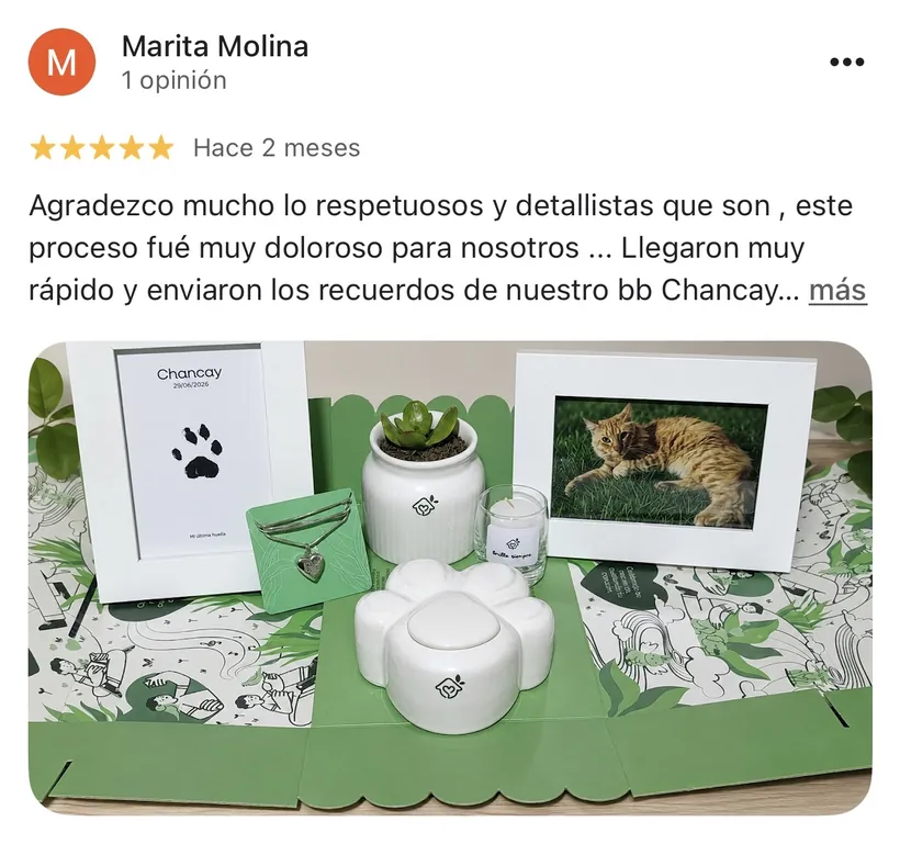 Reseña de Marita Molina en Google sobre la cremación de su mascota en Regazo
